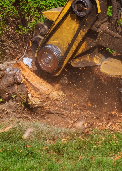 Stump Grinding