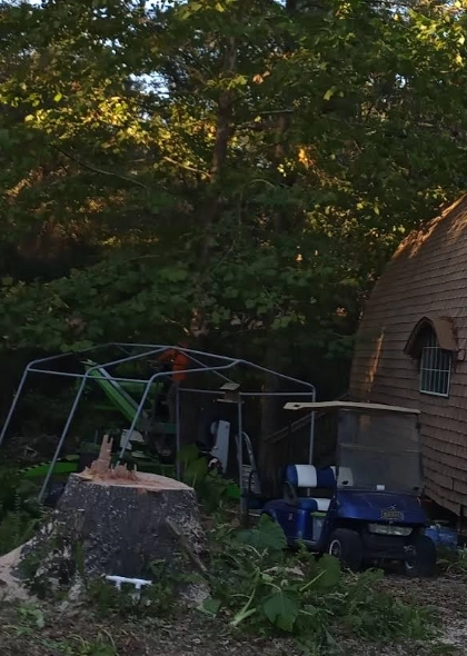 Tree Removal Services