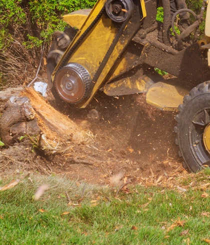 Stump Grinding in Gainesville, FL