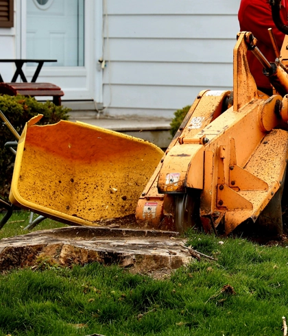 Stump Grinding in Trenton, FL
