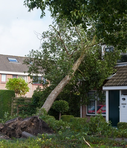 Storm Cleanup Services in Gainesville, FL