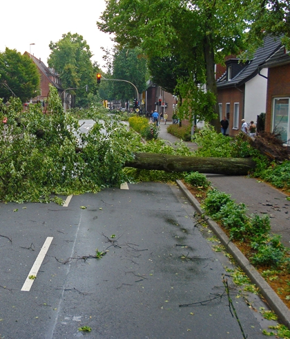 Storm Cleanup Services in Trenton, FL