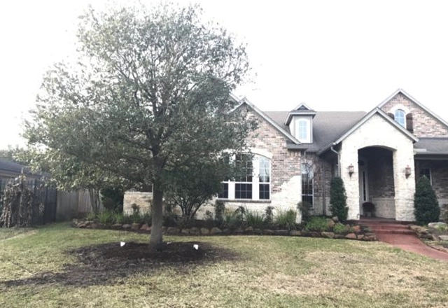 Tree & Plant Healthcare