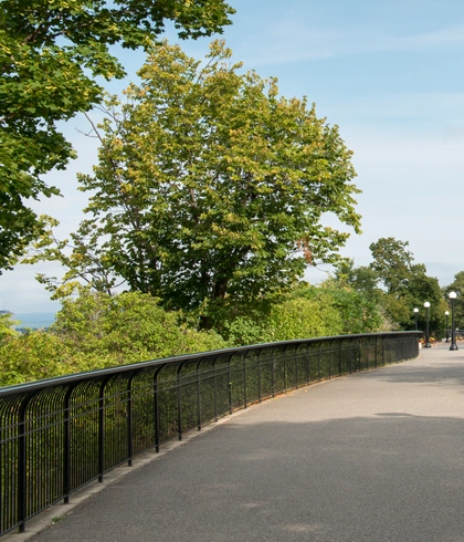 Fence Line and Driveway Clearing in Bell, FL