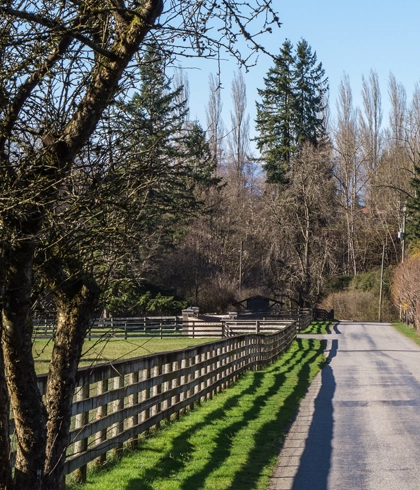 Fence Line and Driveway Clearing in High Springs