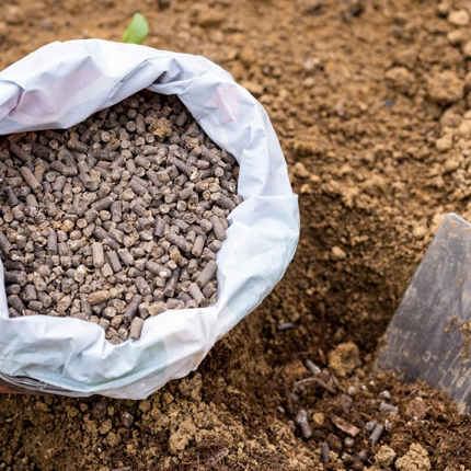 Comprehensive Tree & Plant Healthcare in Houston, TX