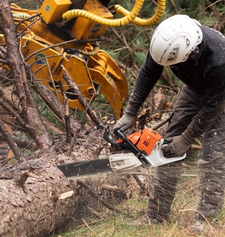Your Trusted Source for Comprehensive Tree Care Solutions