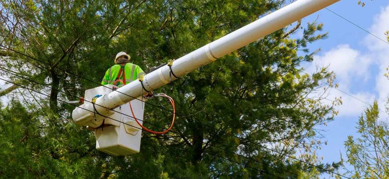 Tree Trimming & Pruning