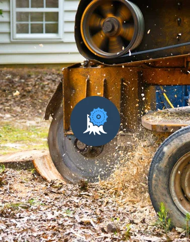 Stump Grinding